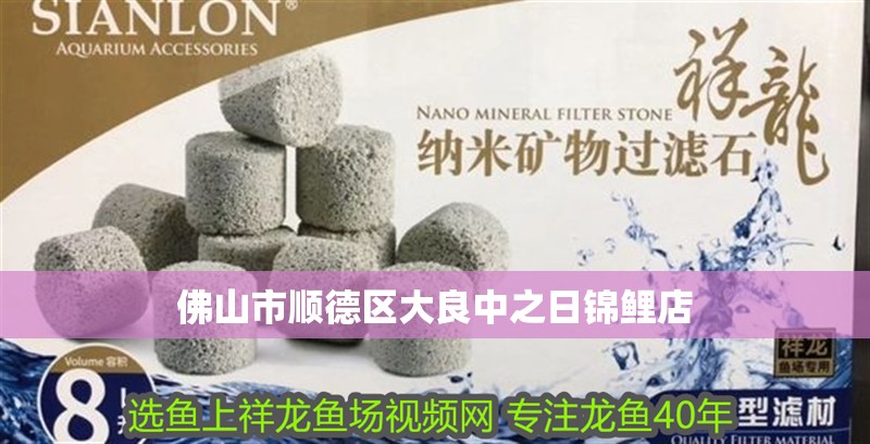 佛山市順德區大良中之日錦鯉店 佛山市順德區大良中之日錦鯉店 全國水族館企業名錄