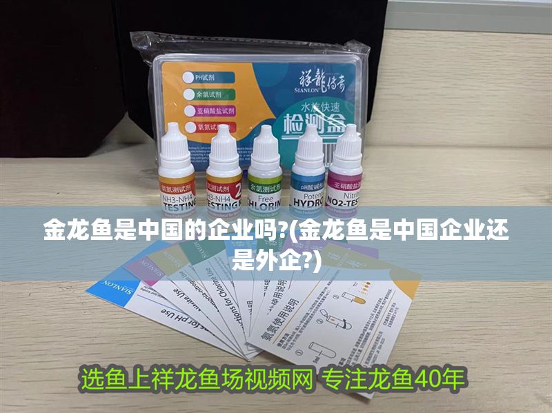 金龍魚是中國的企業嗎?(金龍魚是中國企業還是外企?)