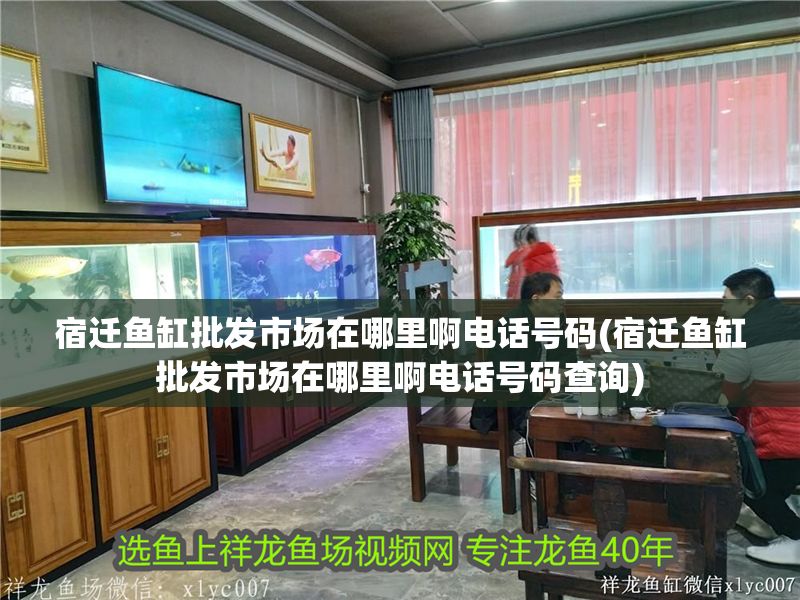宿遷魚缸批發(fā)市場在哪里啊電話號碼(宿遷魚缸批發(fā)市場在哪里啊電話號碼查詢)
