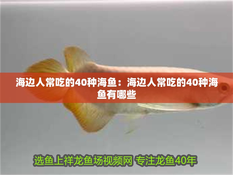 海邊人常吃的40種海魚：海邊人常吃的40種海魚有哪些
