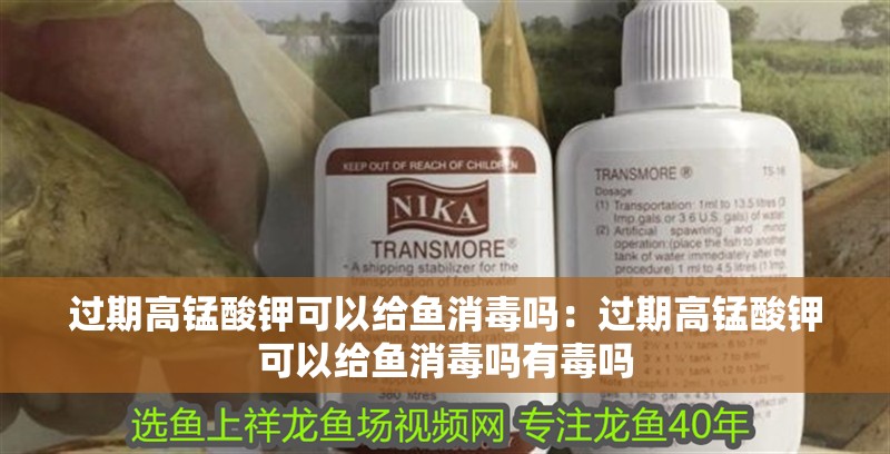 過期高錳酸鉀可以給魚消毒嗎：過期高錳酸鉀可以給魚消毒嗎有毒嗎