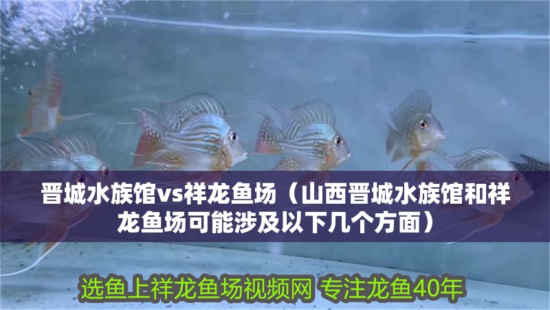 晉城水族館vs祥龍魚場（山西晉城水族館和祥龍魚場可能涉及以下幾個方面）