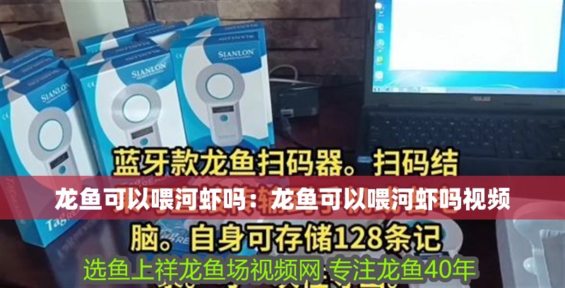 龍魚可以喂河蝦嗎：龍魚可以喂河蝦嗎視頻