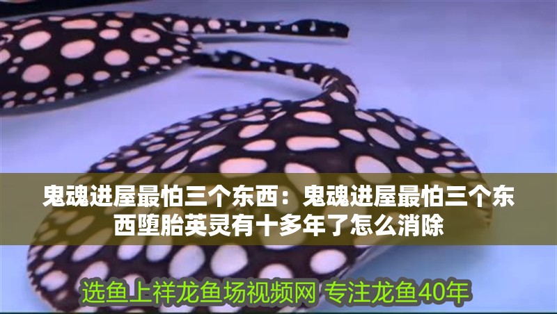 鬼魂進屋最怕三個東西：鬼魂進屋最怕三個東西墮胎英靈有十多年了怎么消除