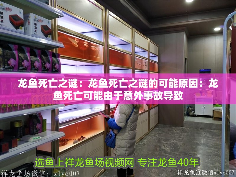 龍魚(yú)死亡之謎：龍魚(yú)死亡之謎的可能原因：龍魚(yú)死亡可能由于意外事故導(dǎo)致