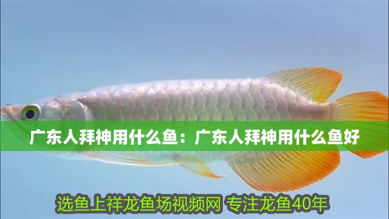 廣東人拜神用什么魚：廣東人拜神用什么魚好