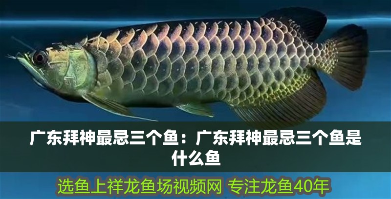 廣東拜神最忌三個魚：廣東拜神最忌三個魚是什么魚