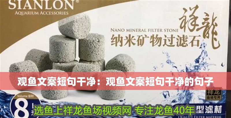 觀魚文案短句干凈：觀魚文案短句干凈的句子