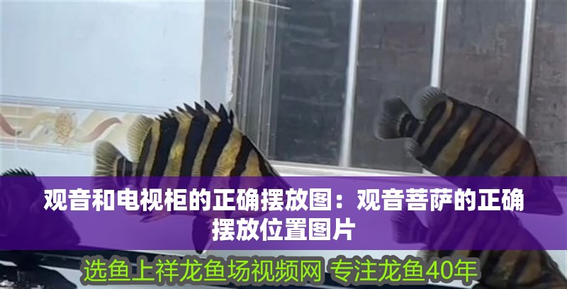 觀音和電視柜的正確擺放圖：觀音菩薩的正確擺放位置圖片