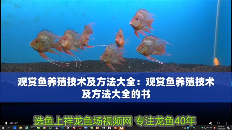觀賞魚養殖技術及方法大全：觀賞魚養殖技術及方法大全的書 觀賞魚養殖技術及方法大全：觀賞魚養殖技術及方法大全的書 龍魚百科 第3張