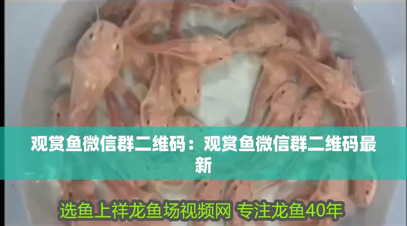 觀賞魚(yú)微信群二維碼：觀賞魚(yú)微信群二維碼最新