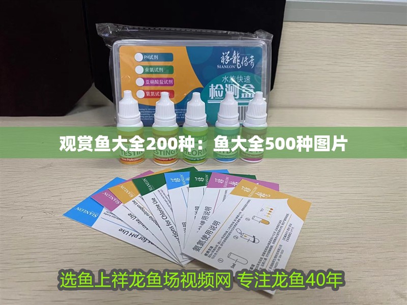 觀賞魚大全200種：魚大全500種圖片