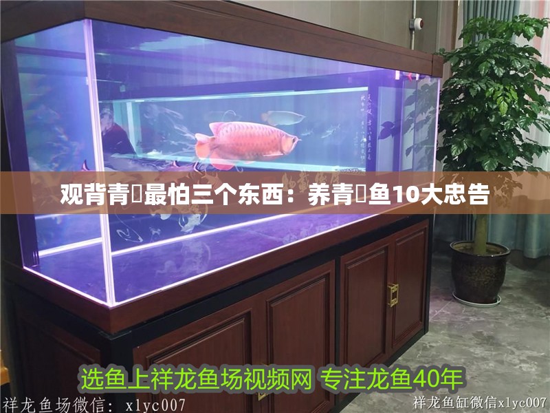 觀背青鳉最怕三個(gè)東西：養(yǎng)青鳉魚10大忠告