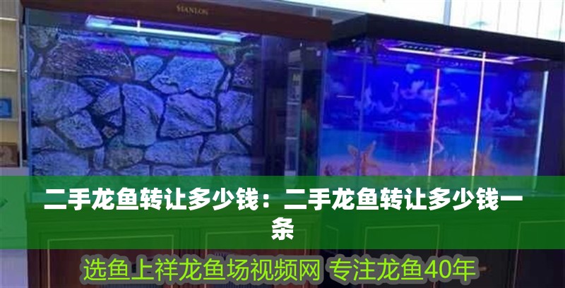二手龍魚轉讓多少錢：二手龍魚轉讓多少錢一條