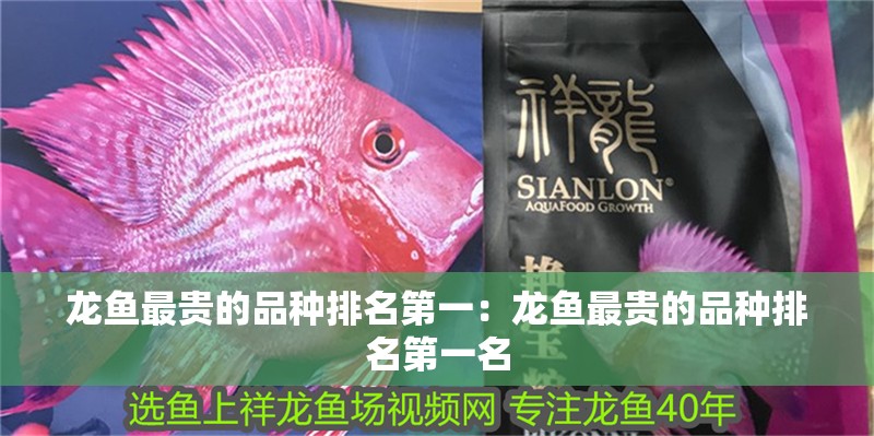 龍魚最貴的品種排名第一：龍魚最貴的品種排名第一名