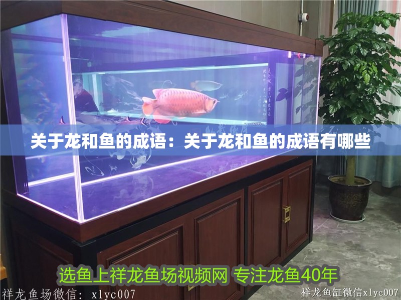關(guān)于龍和魚的成語：關(guān)于龍和魚的成語有哪些