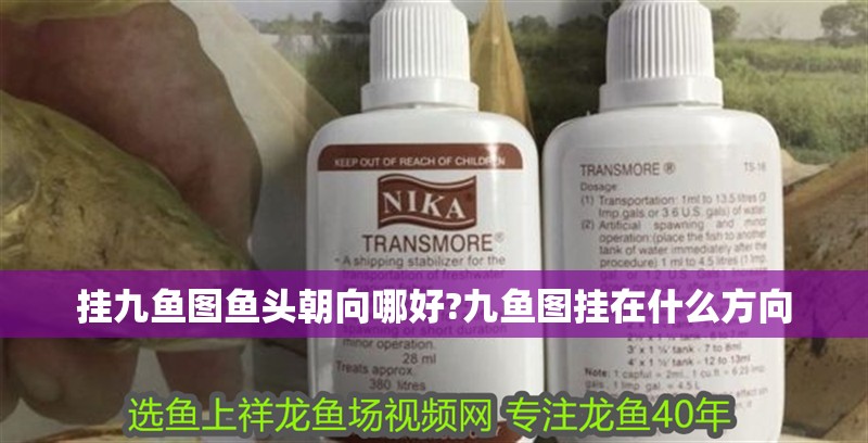 掛九魚圖魚頭朝向哪好?九魚圖掛在什么方向