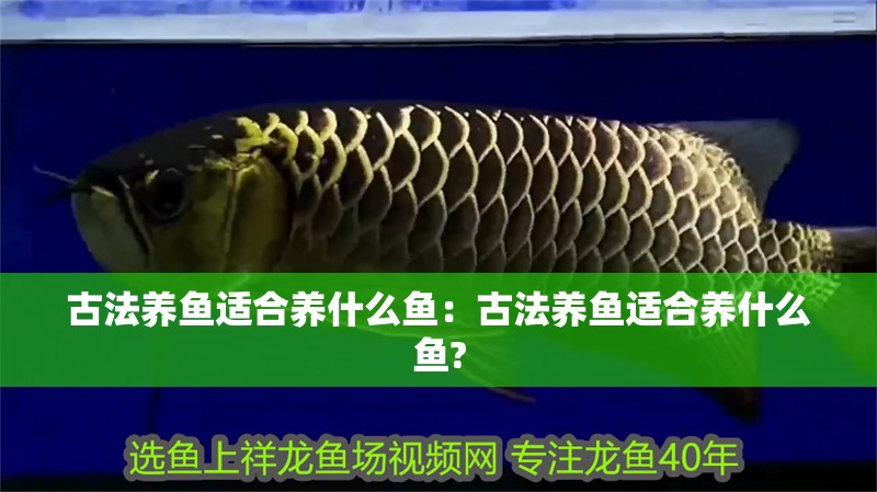 古法養魚適合養什么魚：古法養魚適合養什么魚?