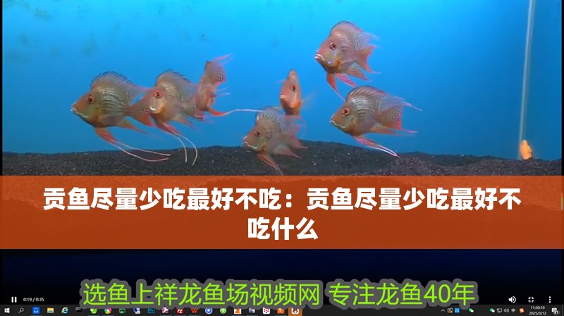貢魚盡量少吃最好不吃：貢魚盡量少吃最好不吃什么