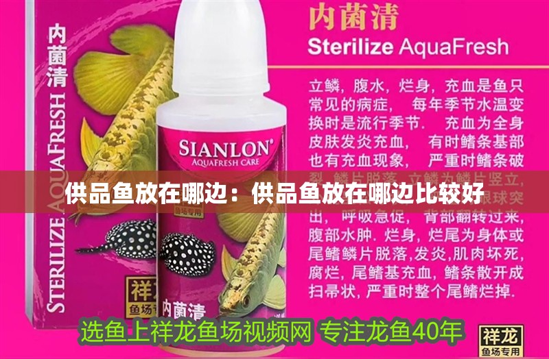 供品魚放在哪邊：供品魚放在哪邊比較好