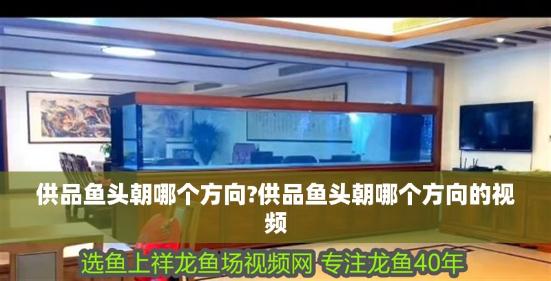 供品魚(yú)頭朝哪個(gè)方向?供品魚(yú)頭朝哪個(gè)方向的視頻