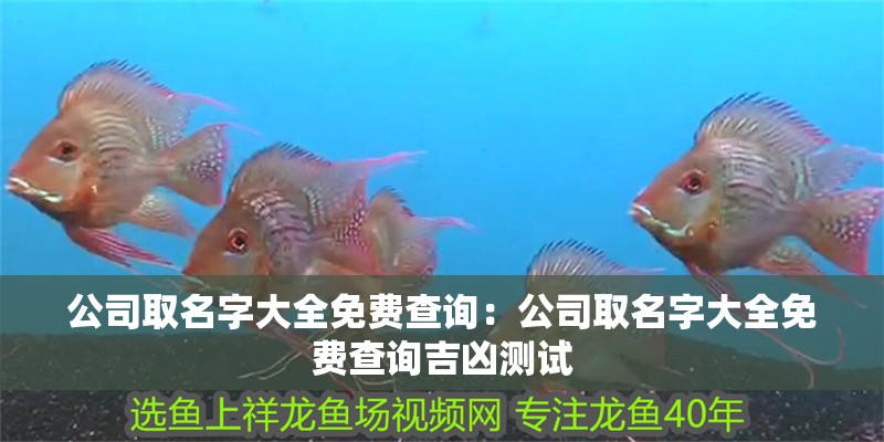 公司取名字大全免費查詢：公司取名字大全免費查詢吉兇測試
