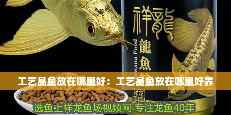 工藝品魚放在哪里好：工藝品魚放在哪里好養
