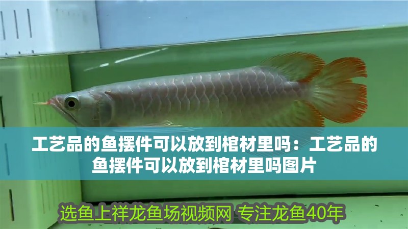 工藝品的魚擺件可以放到棺材里嗎：工藝品的魚擺件可以放到棺材里嗎圖片