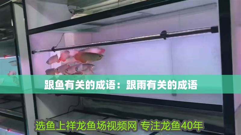 跟魚有關(guān)的成語：跟雨有關(guān)的成語