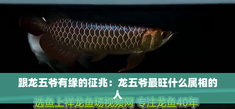 跟龍五爺有緣的征兆：龍五爺最旺什么屬相的人