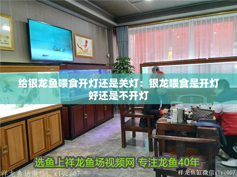 給銀龍魚喂食開燈還是關燈：銀龍喂食是開燈好還是不開燈