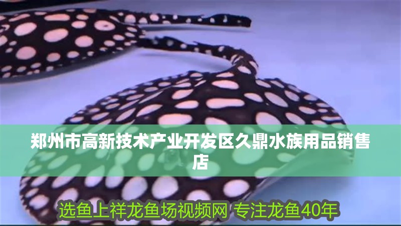 鄭州市高新技術產業開發區久鼎水族用品銷售店