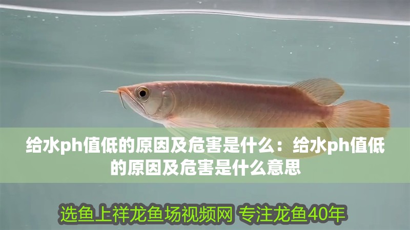 給水ph值低的原因及危害是什么：給水ph值低的原因及危害是什么意思