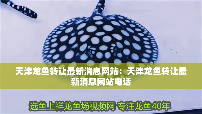 天津龍魚轉讓最新消息網站：天津龍魚轉讓最新消息網站電話