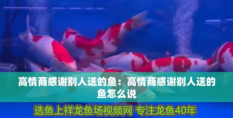 高情商感謝別人送的魚：高情商感謝別人送的魚怎么說