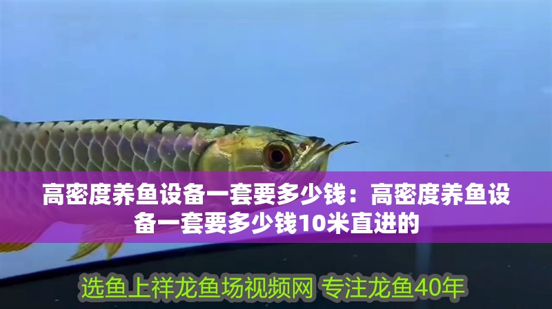 高密度養魚設備一套要多少錢：高密度養魚設備一套要多少錢10米直進的