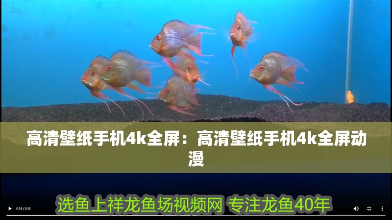 高清壁紙手機4k全屏：高清壁紙手機4k全屏動漫