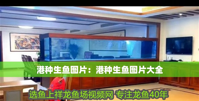 港種生魚圖片：港種生魚圖片大全