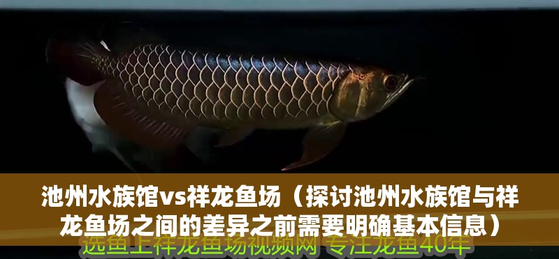 池州水族館vs祥龍魚場（探討池州水族館與祥龍魚場之間的差異之前需要明確基本信息）