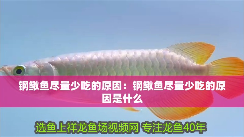 鋼鰍魚盡量少吃的原因：鋼鰍魚盡量少吃的原因是什么