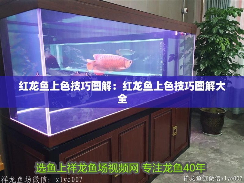紅龍魚上色技巧圖解：紅龍魚上色技巧圖解大全