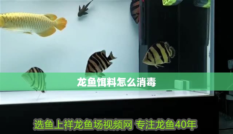 龍魚餌料怎么消毒