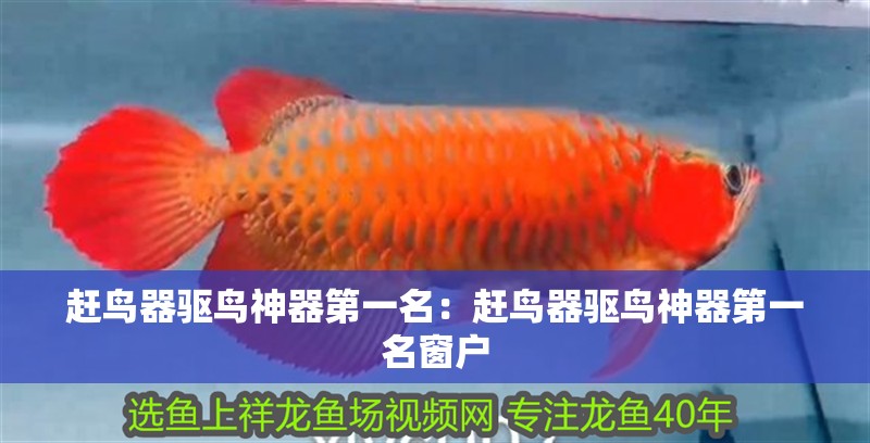 趕鳥器驅(qū)鳥神器第一名：趕鳥器驅(qū)鳥神器第一名窗戶