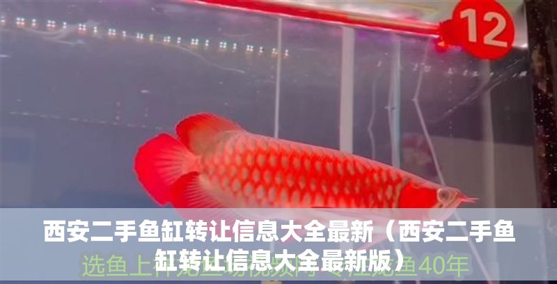 西安二手魚缸轉讓信息大全最新（西安二手魚缸轉讓信息大全最新版）