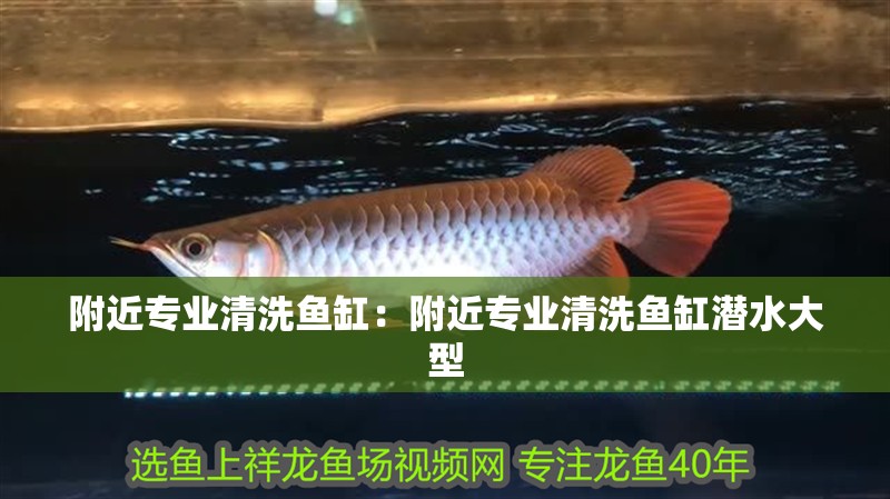 附近專業清洗魚缸：附近專業清洗魚缸潛水大型