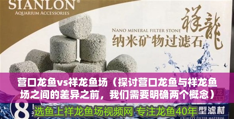 營口龍魚vs祥龍魚場(探討營口龍魚與祥龍魚場之間的差異之前,我們需要明確兩個概念)