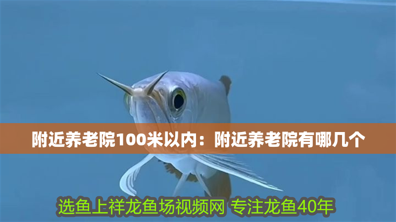 附近養老院100米以內：附近養老院有哪幾個