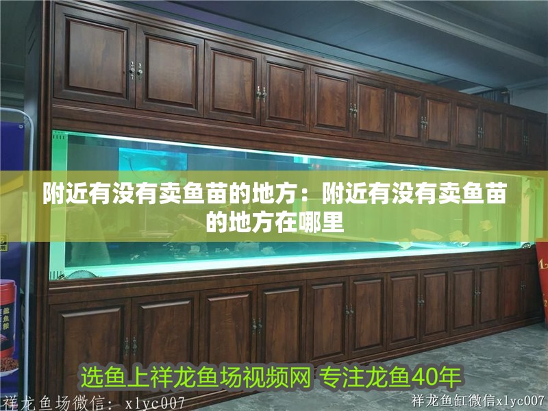 附近有沒有賣魚苗的地方：附近有沒有賣魚苗的地方在哪里