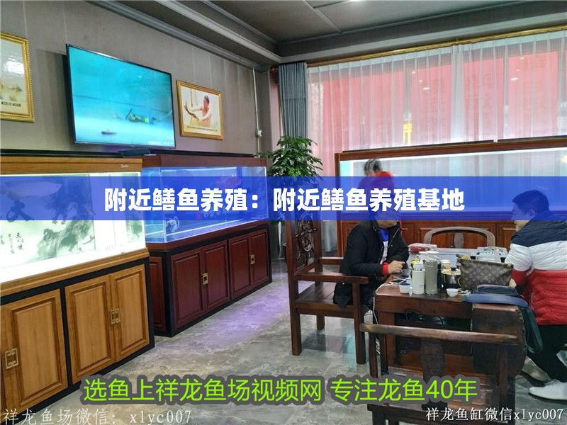 附近鱔魚養殖：附近鱔魚養殖基地