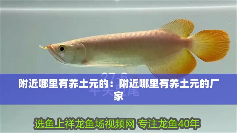 附近哪里有養土元的：附近哪里有養土元的廠家